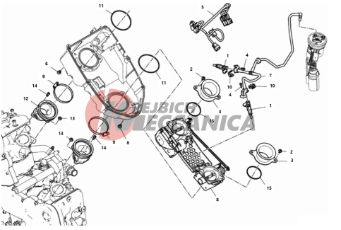 THROTTLE BODY