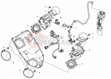 THROTTLE BODY