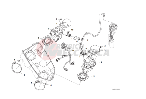 THROTTLE BODY