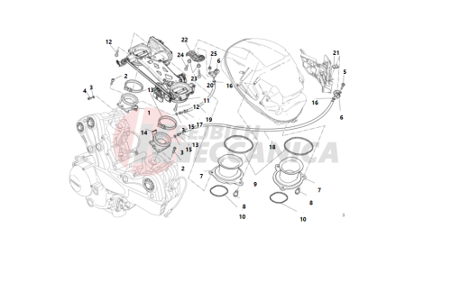 THROTTLE BODY