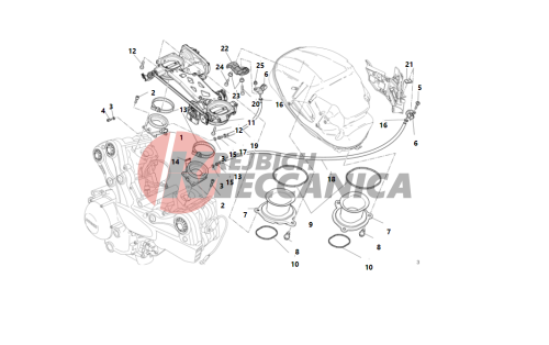 THROTTLE BODY