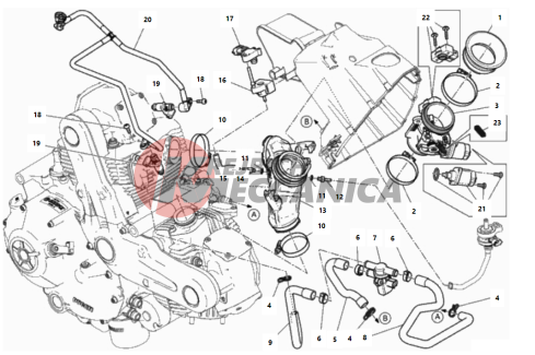 THROTTLE BODY