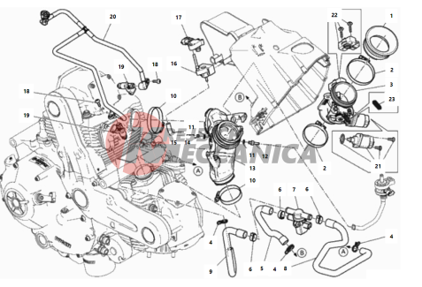 THROTTLE BODY