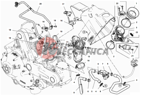 THROTTLE BODY