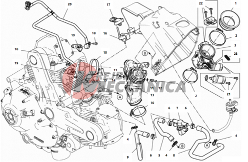 THROTTLE BODY