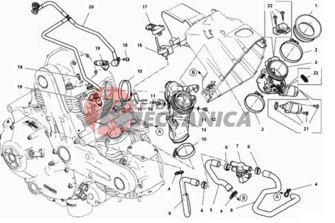 THROTTLE BODY