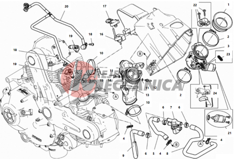 THROTTLE BODY