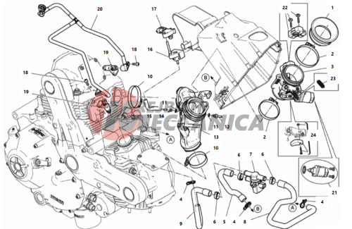 THROTTLE BODY