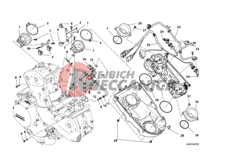 THROTTLE BODY