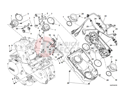 THROTTLE BODY