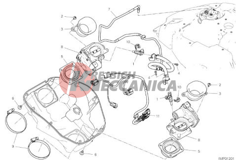 THROTTLE BODY