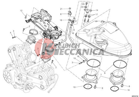 THROTTLE BODY