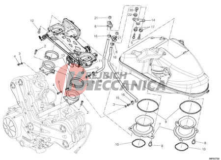 THROTTLE BODY