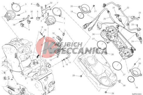 THROTTLE BODY