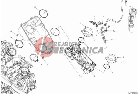 THROTTLE BODY