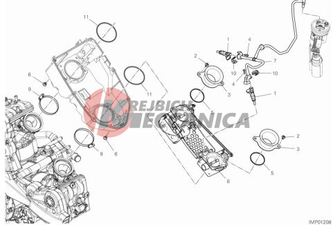 THROTTLE BODY