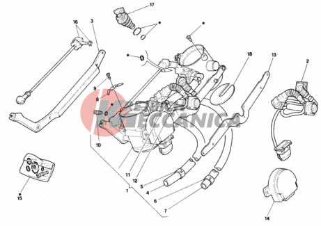 THROTTLE BODY