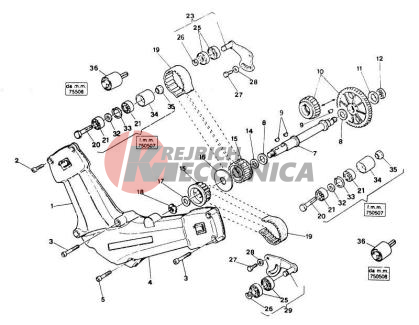 TIMING BELT