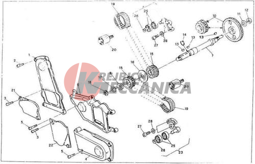 TIMING BELT