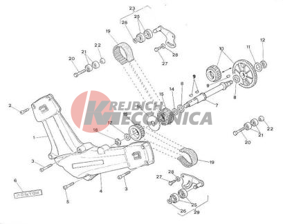 TIMING BELT AND COVER