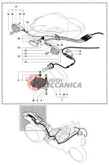Taillight - Indicators