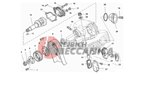 VERTICAL CYLINDER HEAD - TIMING