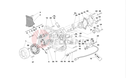 WATER PUMP - ALTERNATOR COVER