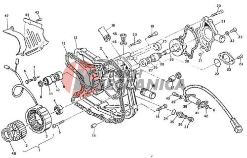 WATER PUMP - ALTERNATOR COVER