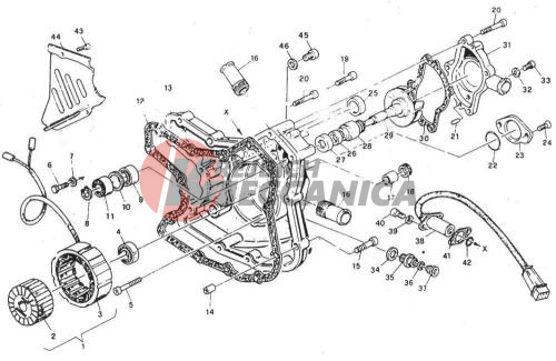 WATER PUMP - ALTERNATOR COVER