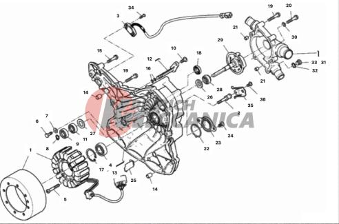 WATER PUMP-ALTR-SIDE CRNKCSE COVER