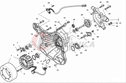 WATER PUMP-ALTR-SIDE CRNKCSE COVER