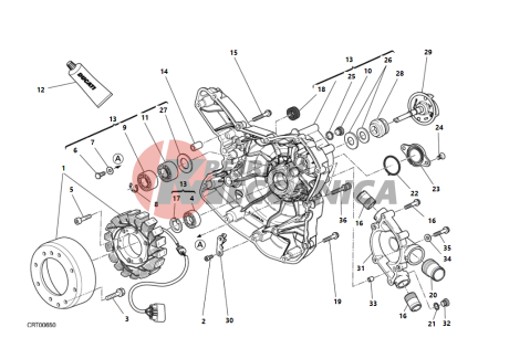 WATER PUMP-ALTR-SIDE CRNKCSE COVER