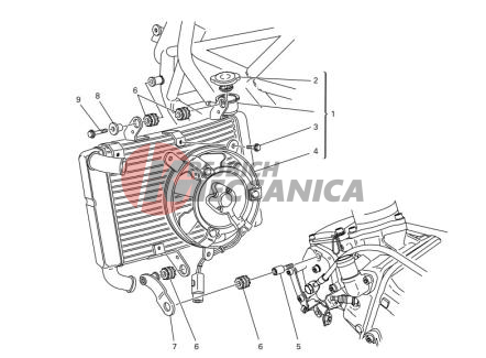 WATER RADIATOR ASSY