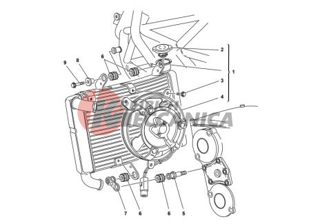 WATER RADIATOR ASSY