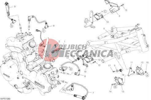 WIRING HARNESS 2