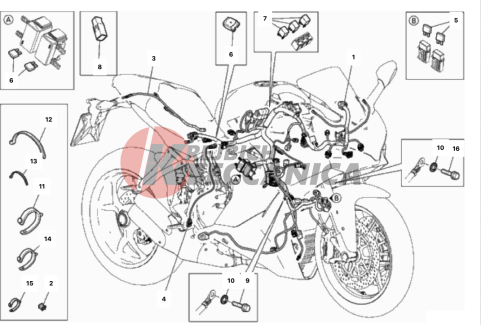 WIRING HARNESS