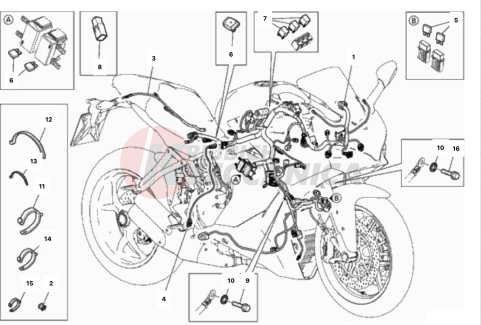 WIRING HARNESS