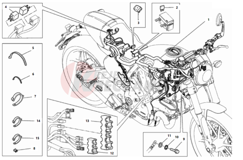 WIRING HARNESS