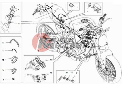 WIRING HARNESS