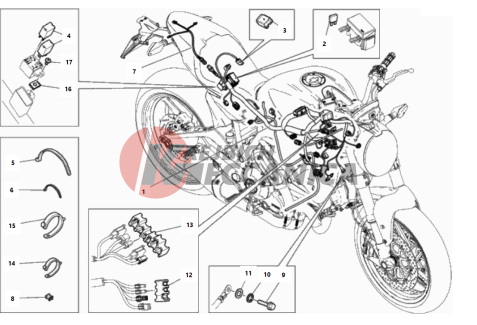 WIRING HARNESS