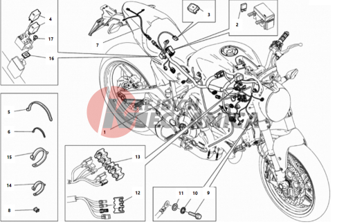 WIRING HARNESS