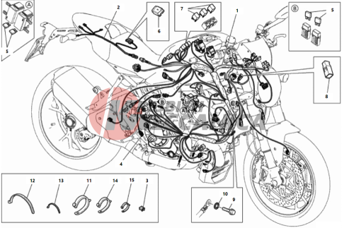 WIRING HARNESS