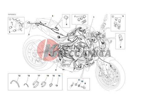 WIRING HARNESS