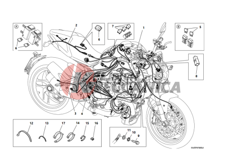 WIRING HARNESS