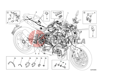 WIRING HARNESS