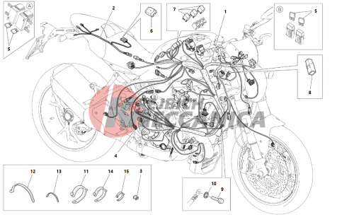 WIRING HARNESS