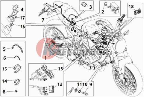 WIRING HARNESS