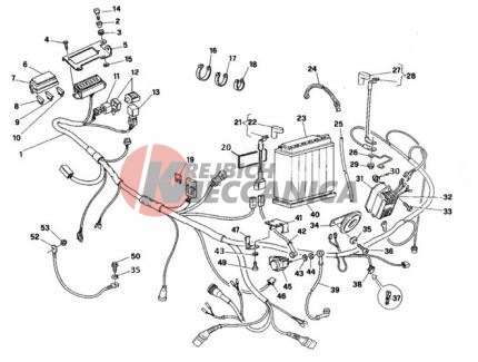 WIRING HARNESS