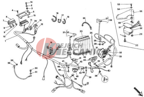 WIRING HARNESS