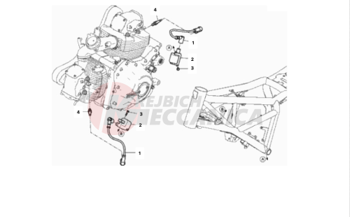 WIRING HARNESS (COIL)